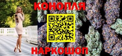 гашик Тулун