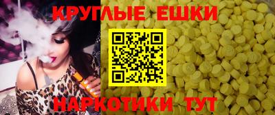 гашик Тулун