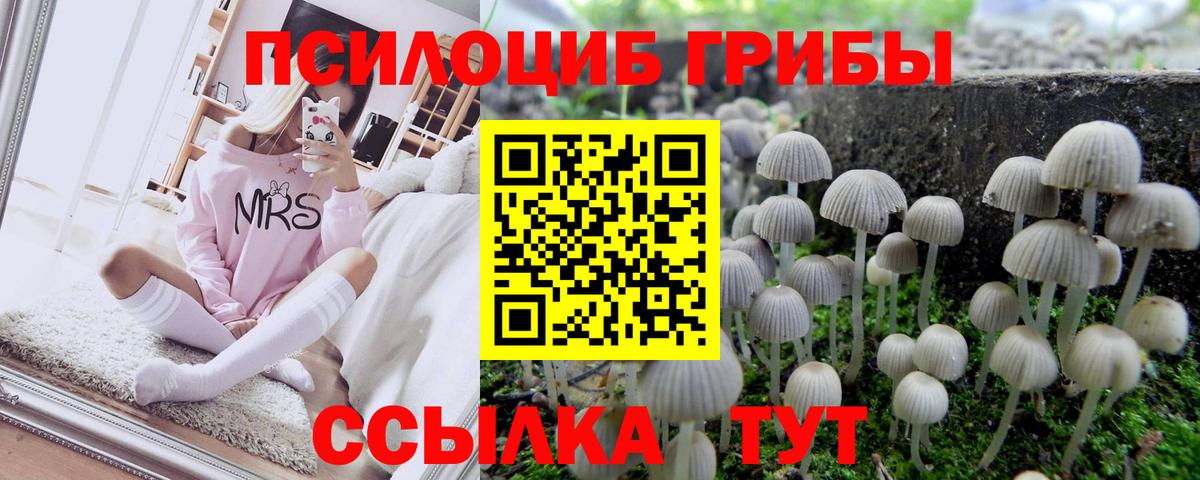 Псилоцибиновые грибы GOLDEN TEACHER  Вход с VPN  Псилоцибиновые грибы MAGIC MUSHROOMS  Мыски 